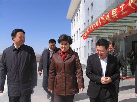 內(nèi)蒙古烏蘭察布市代市長陶淑菊一行來我公司考察調(diào)研